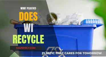 Wi's Plastic Recycling: What Plastics Make the Cut?