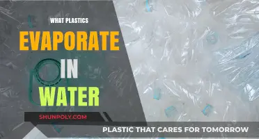 Unveiling the Truth: Which Plastics Dissolve in Water?