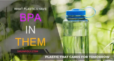 Plastics with BPA: What You Need to Know