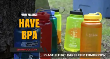 Unveiling the Truth: Which Plastics Contain Harmful BPA?