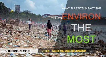 Plastic Pollution: The Worst Offenders Revealed