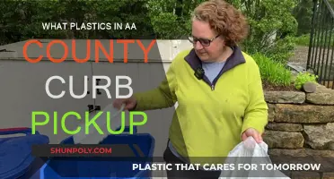 Curbside Pickup: What Plastics Can AA County Recycle?