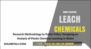 Unseen Dangers: How Everyday Plastics Leach Harmful Chemicals