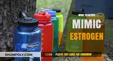 Unveiling the Truth: Plastics That Mimic Estrogen and Their Impact