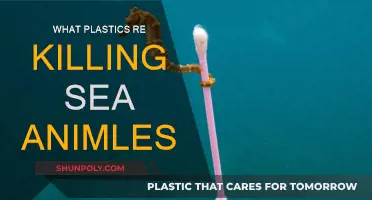 How Plastics are Killing Sea Creatures