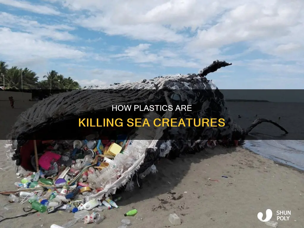what plastics re killing sea animles