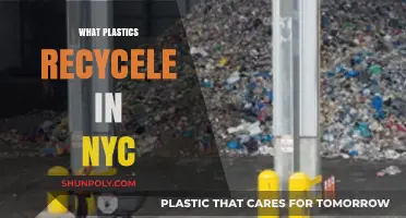 Decoding NYC's Recycling Rules: A Guide to Plastics