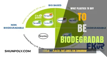 Eco-Friendly Shopping Guide: Biodegradable Plastics to Choose and Use