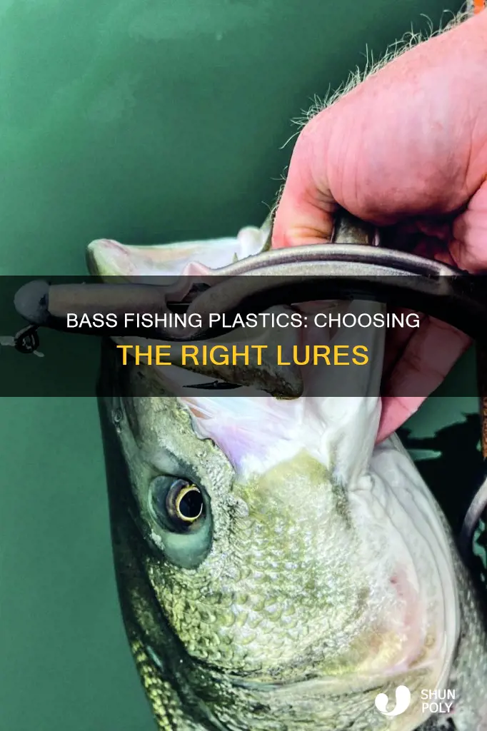 what plastics to start bass fishing