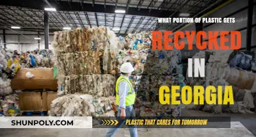 Georgia's Plastic Recycling Rate: How Much Actually Gets Recycled?