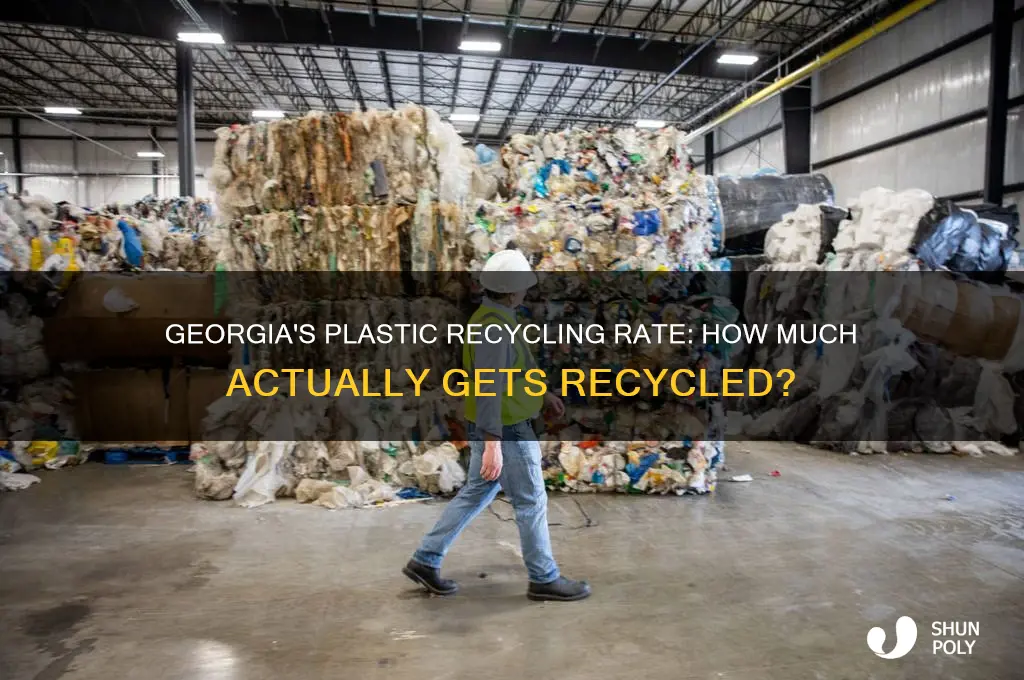 what portion of plastic gets recycked in georgia