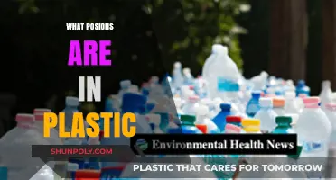 Unveiling the Hidden Dangers: What Poisons Lurk in Plastic?