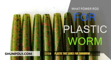 Selecting the Right Power Rod for Plastic Worms