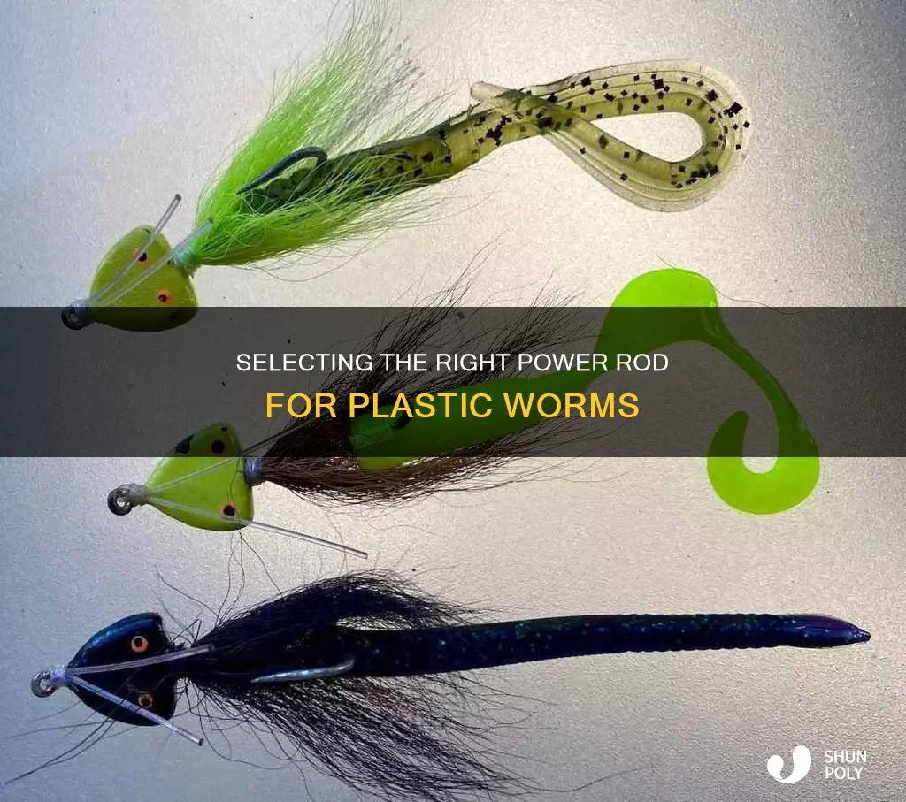 what power rod for plastic worm