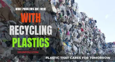 The Complex Challenges of Plastic Recycling