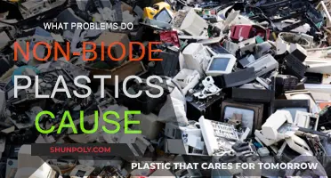 The Dark Side of Non-Biodegradable Plastics