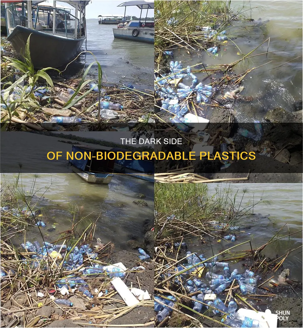 what problems do non-biodegradable plastics cause