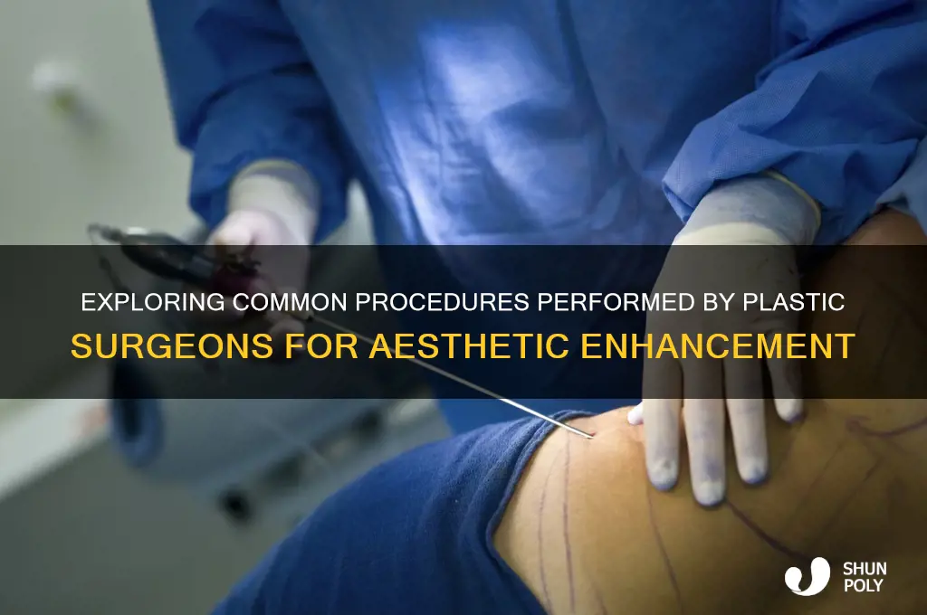 what procedures do plastic surgeons perform
