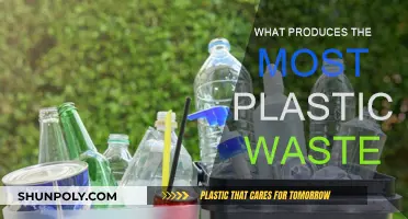 Who's the Worst Plastic Polluter?