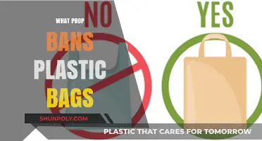 Why Governments Are Banning Plastic Bags: A Prop for Change