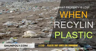 The Dark Side of Plastic Recycling