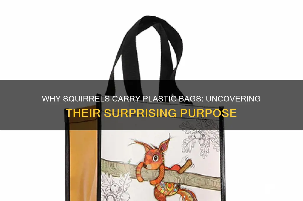 what purpose for a squirrelto have plastic bag