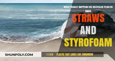 Recycling Reality: The Surprising Journey of Plastic Bags, Straws, and Styrofoam