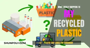 Where Does My Recycled Plastic Go?