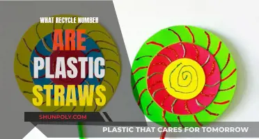 The Complex Recycling Status of Plastic Straws