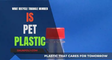 Understanding the Recycling Triangle: PET Plastic's Number
