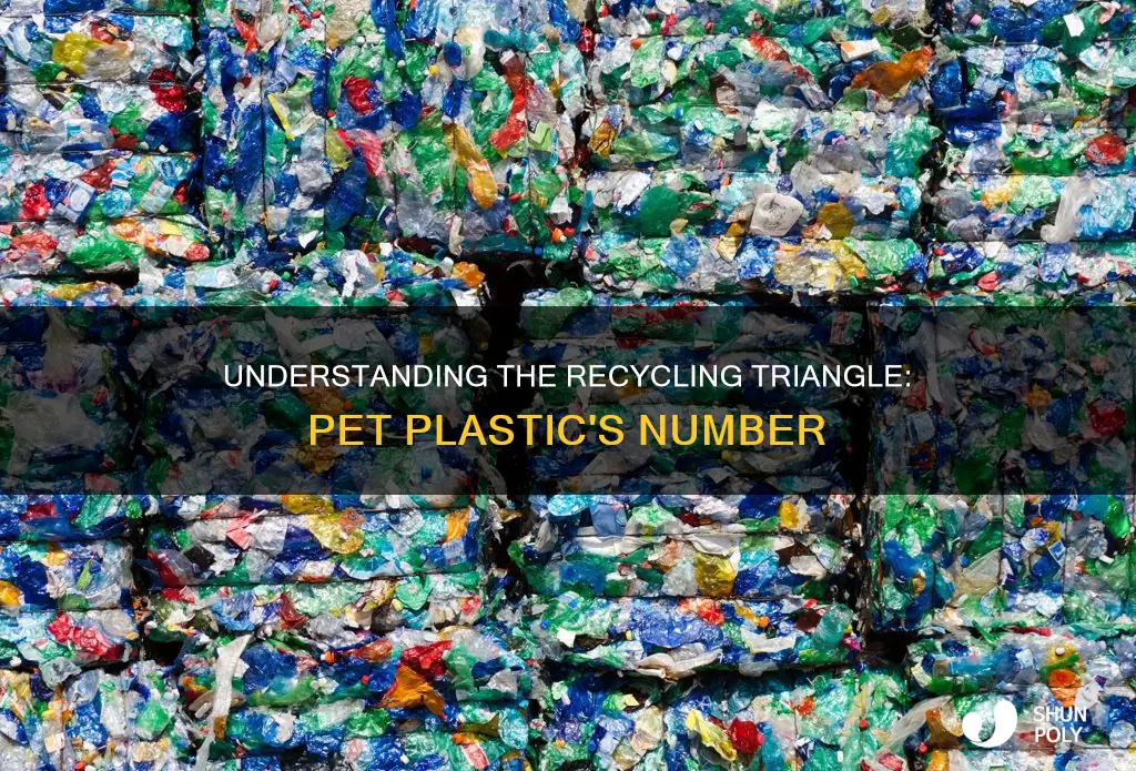 what recycle triangle number is pet plastic