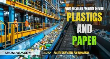 How Recycling Facilities Process Plastics and Paper
