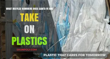 Eco-Friendly Santa Fe: Understanding Plastic Recycling Numbers