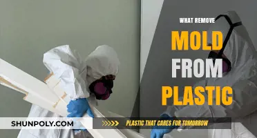Effective Ways to Remove Mold from Plastic Surfaces Safely