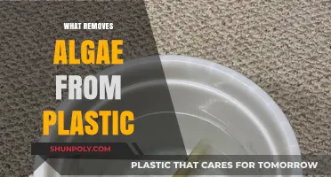 Effective Ways to Remove Algae from Plastic Surfaces Easily