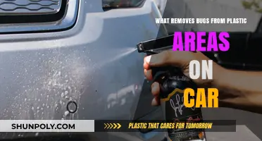 Effective Ways to Remove Bugs from Car Plastic Surfaces