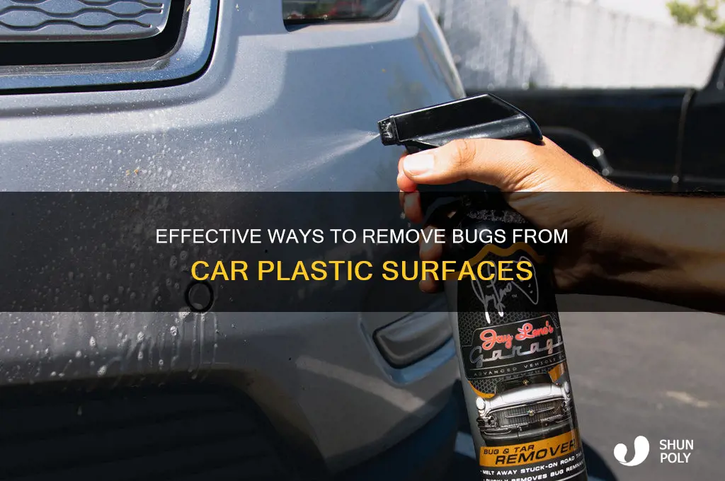 what removes bugs from plastic areas on car
