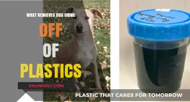 Effective Ways to Remove Dog Urine Stains from Plastic Surfaces