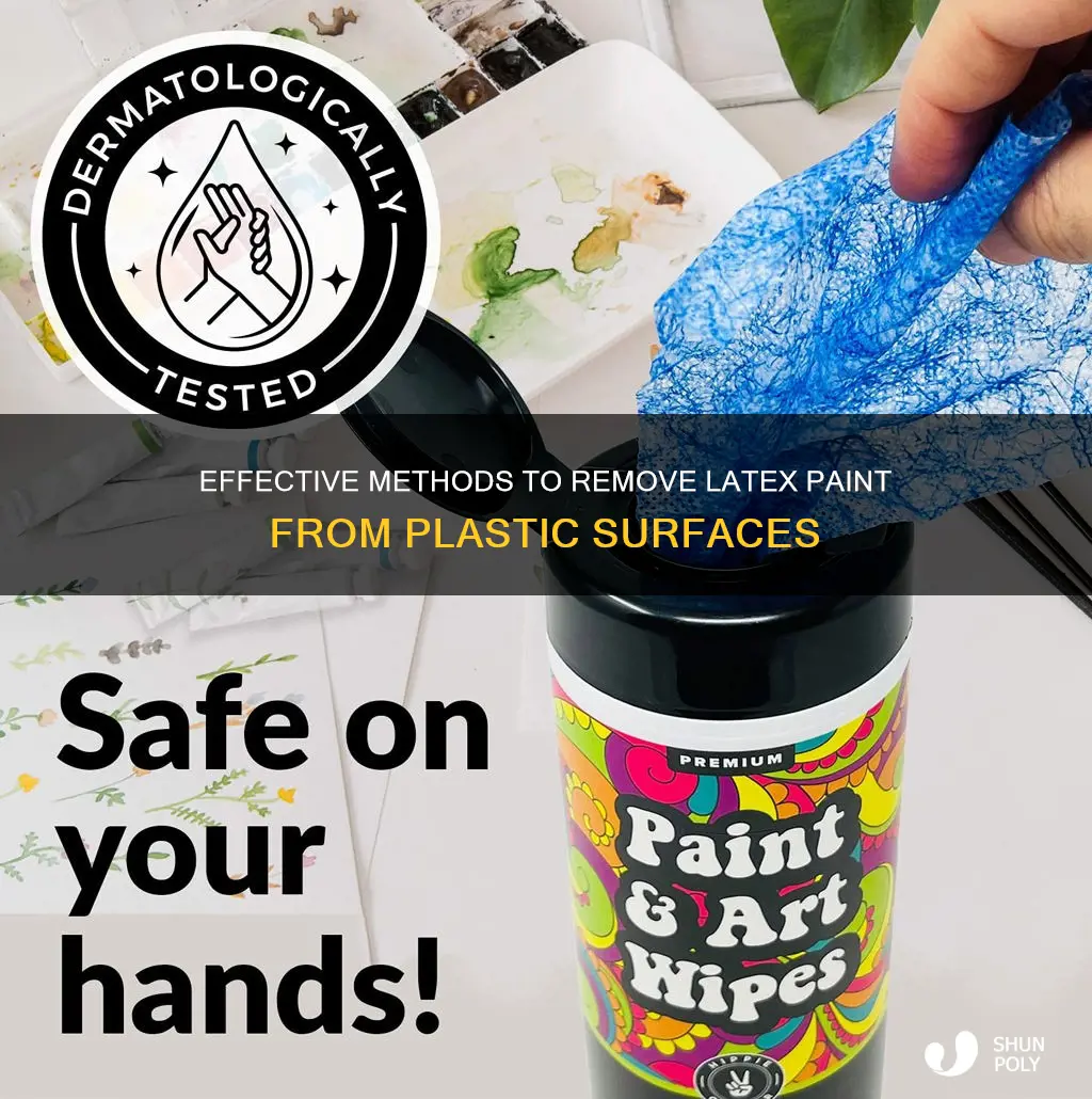 what removes latex paint from plastic