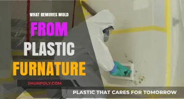 Effective Ways to Remove Mold from Plastic Furniture Safely