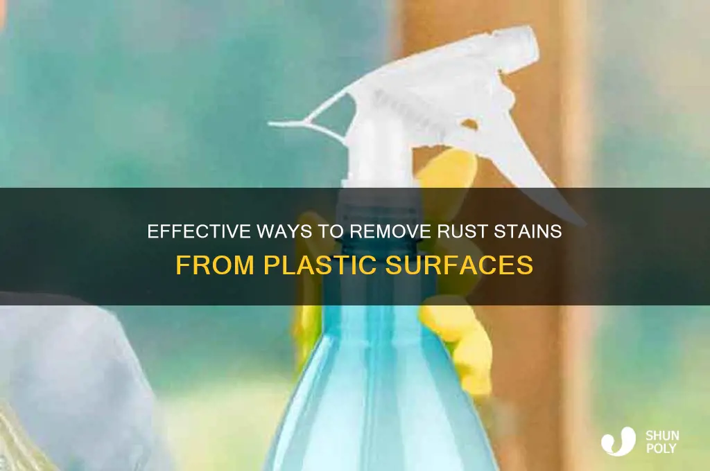 what removes rust from plastic