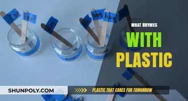 Exploring the Sonic World: What Rhymes with Plastic?