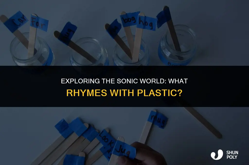 what rhymes with plastic
