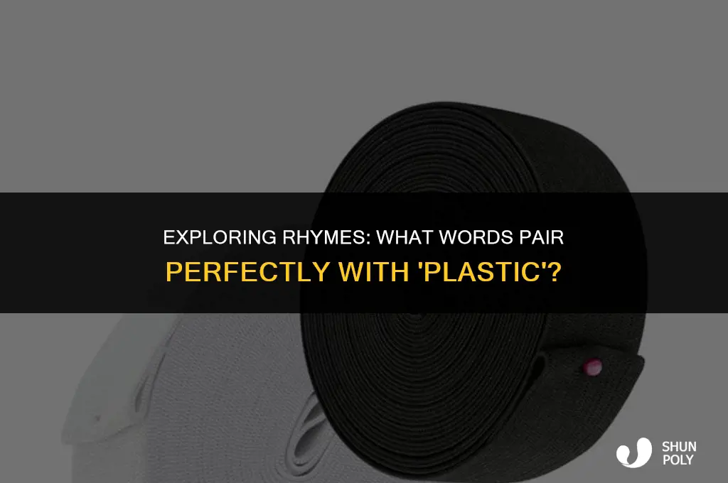 what rhyms with plastic
