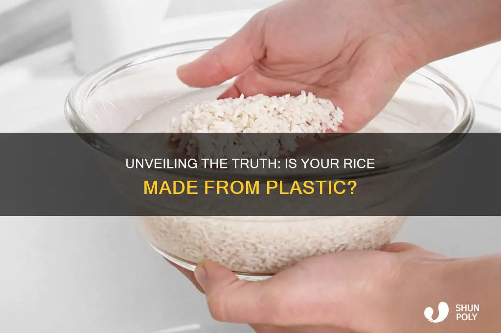 what rice is made from plastic