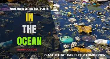 Rivers Choking Oceans: Top Polluters Dumping Plastic into Seas