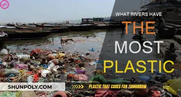 Plastic Rivers: The Most Polluted Waterways