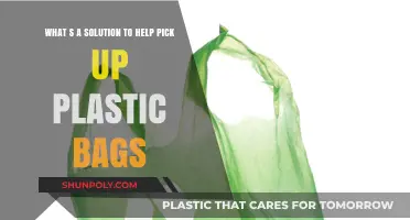 Eco-Friendly Solutions to Easily Collect and Recycle Plastic Bags
