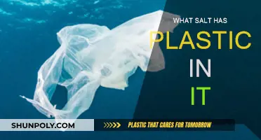 Salt and Plastic: What's the Connection?