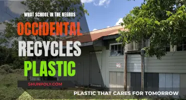 Exploring Plastic Recycling Initiatives in Negros Occidental Schools